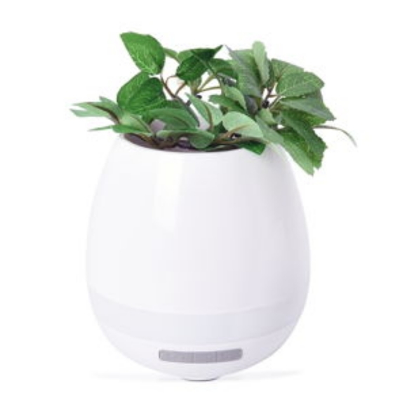1 Color Changing Bluetooth Planter - Picture 2 of 7